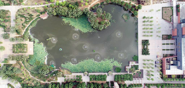 山東城市建設(shè)職業(yè)學院 - 最美大學