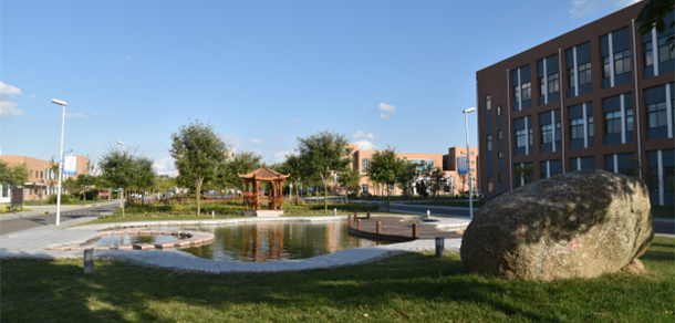 我的大學(xué)-大學(xué)志