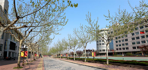 山東特殊教育職業(yè)學(xué)院