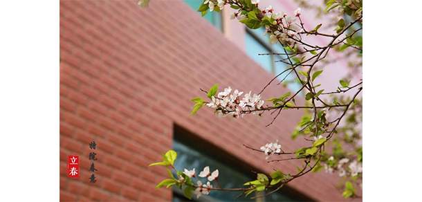 我的大學(xué)-大學(xué)志