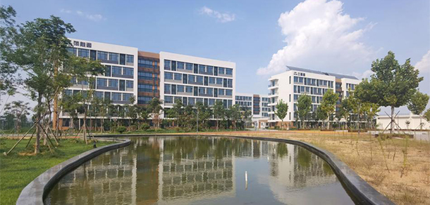 我的大學-大學志