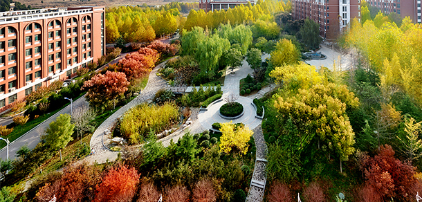 我的大學(xué)-大學(xué)志