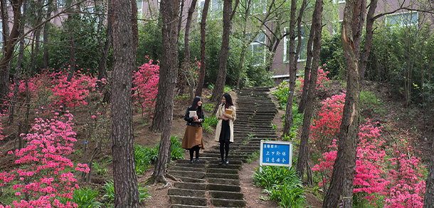 信陽學(xué)院