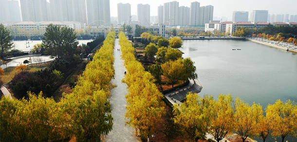 我的大學(xué)-大學(xué)志