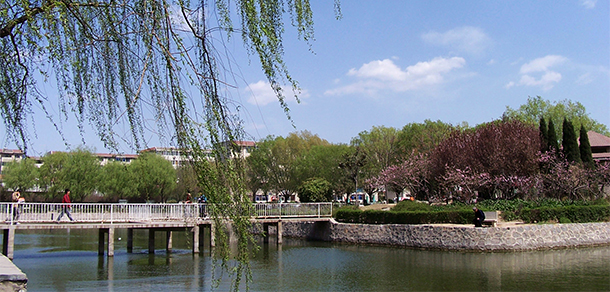 河南科技學院 - 最美大學