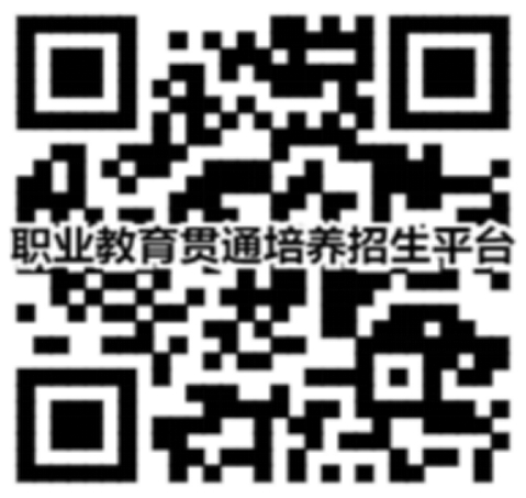 二維碼在線進(jìn)行報(bào)考、計(jì)劃查詢、錄取查詢