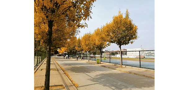 濮陽石油化工職業(yè)技術(shù)學(xué)院