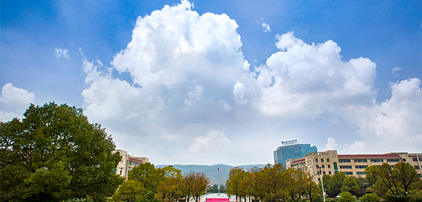 我的大學(xué)-大學(xué)志