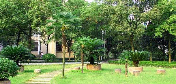 我的大學-大學志
