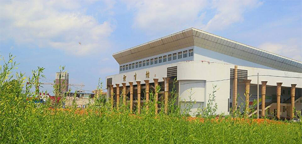 我的大學-大學志