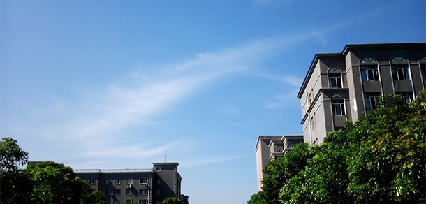 我的大學(xué)-大學(xué)志