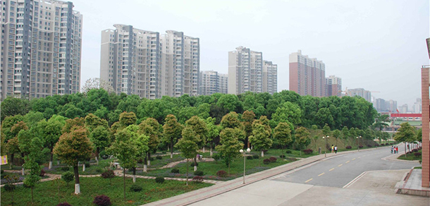 我的大學(xué)-大學(xué)志