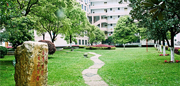 我的大學(xué)-大學(xué)志
