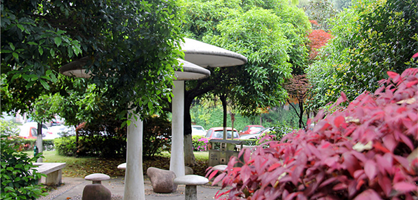 我的大學(xué)-大學(xué)志