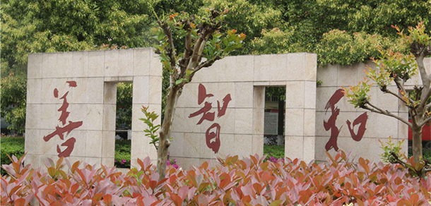 我的大學(xué)-大學(xué)志