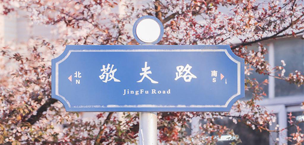 我的大學(xué)-大學(xué)志