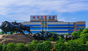 湖南農業(yè)大學東方科技學院 - 最美印記