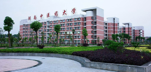 我的大學(xué)-大學(xué)志