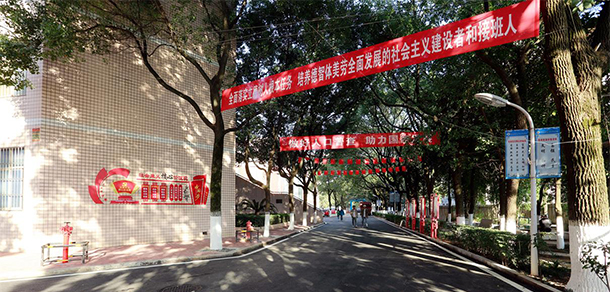 我的大學(xué)-大學(xué)志