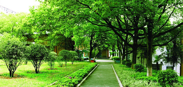 2022年招生分數(shù)
