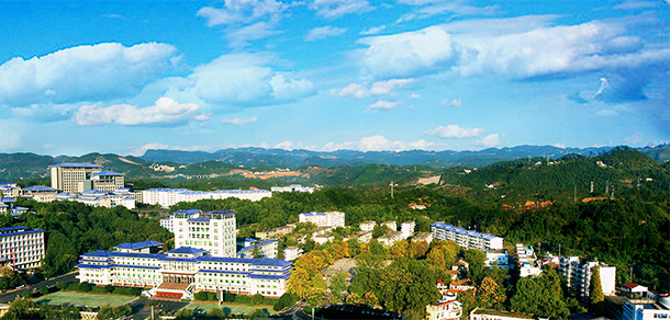我的大學(xué)-大學(xué)志