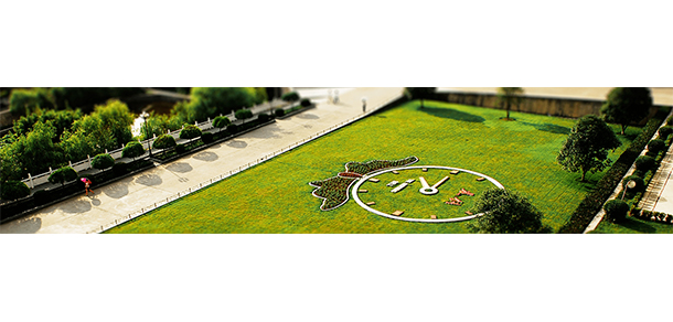我的大學(xué)-大學(xué)志