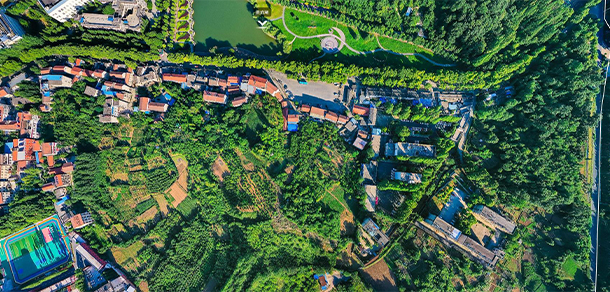 我的大學(xué)-大學(xué)志