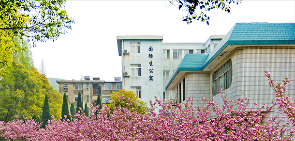我的大學(xué)-大學(xué)志