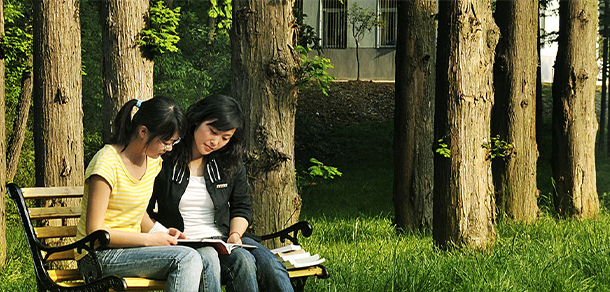 我的大學(xué)-大學(xué)志