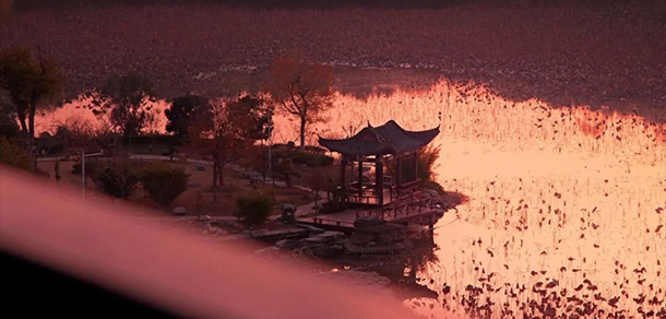 2021年招生簡(jiǎn)章