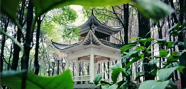 我的大學-大學志