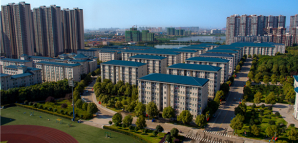 我的大學-大學志