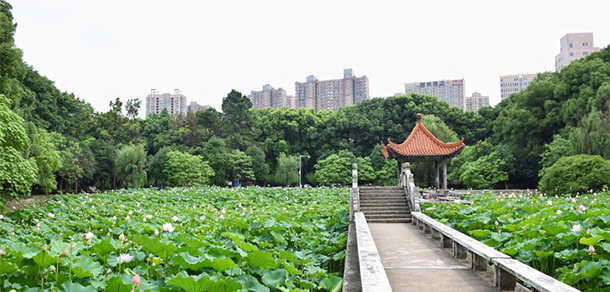 武漢工程大學郵電與信息工程學院 - 最美大學