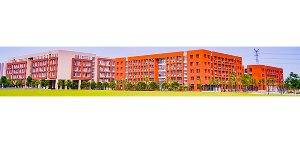 我的大學(xué)-大學(xué)志