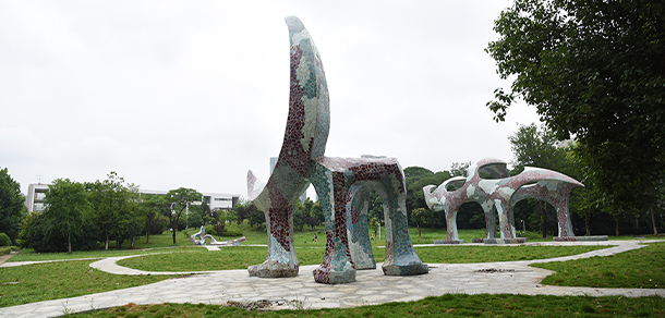 我的大學(xué)-大學(xué)志