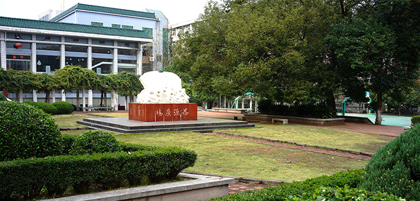 我的大學(xué)-大學(xué)志