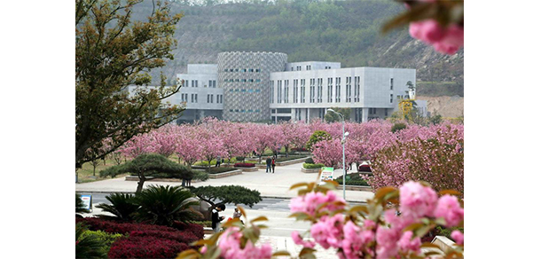我的大學(xué)-大學(xué)志