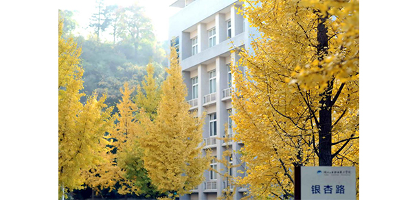 我的大學(xué)-大學(xué)志