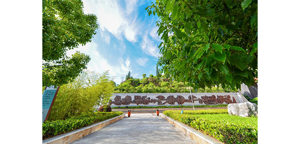 我的大學(xué)-大學(xué)志