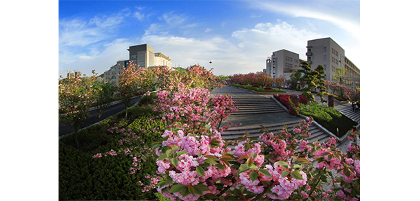 我的大學(xué)-大學(xué)志