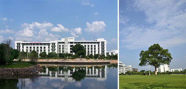 我的大學-大學志