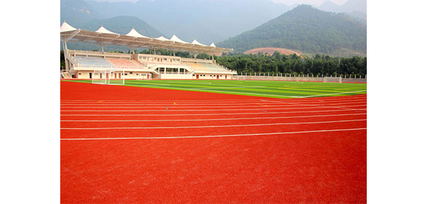 我的大學-大學志