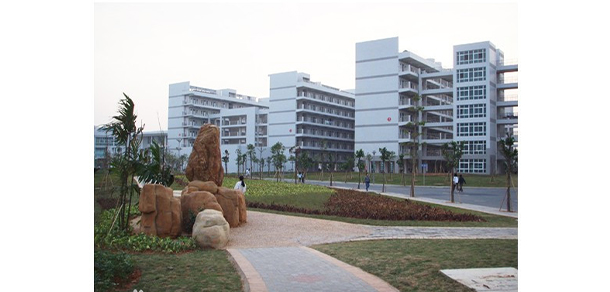 我的大學-大學志