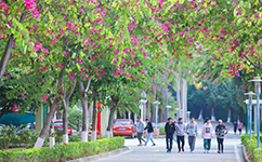 文化標識：校名題寫 / 校徽設計