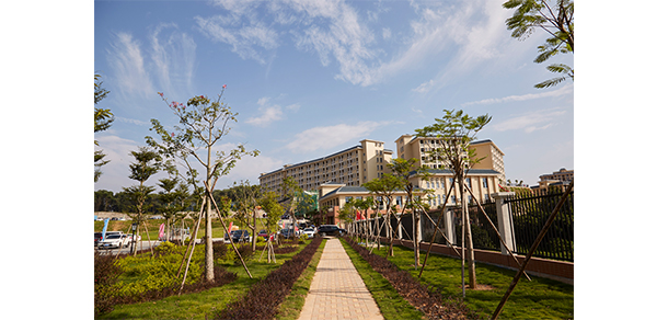 我的大學-大學志