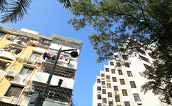 廣東科貿職業(yè)學院 - 我的大學