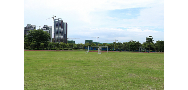 我的大學(xué)-大學(xué)志