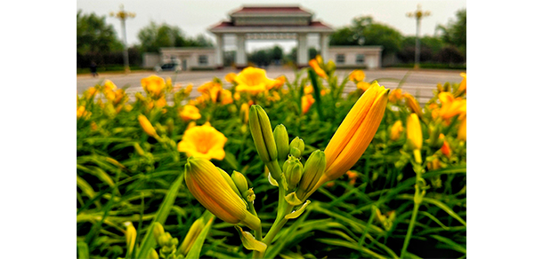 2021年招生分?jǐn)?shù)