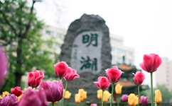 文化標(biāo)識(shí)：校名題寫 / ?；赵O(shè)計(jì)