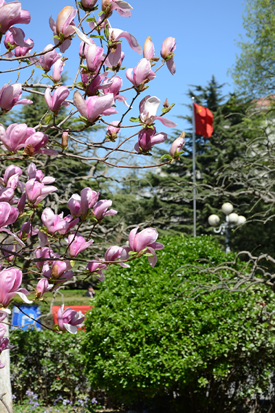 中國勞動關系學院